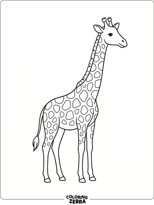 A minimal giraffe with clean lines and a plain background