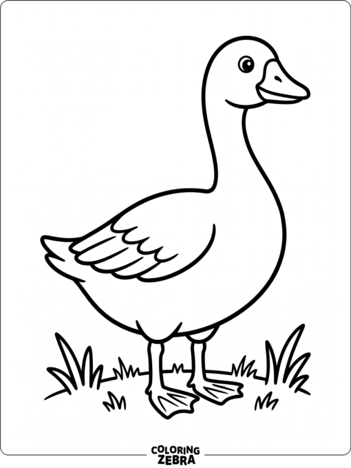 A simple goose standing on grass