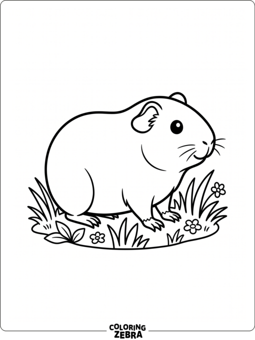 A simple guinea pig with a small grass patch