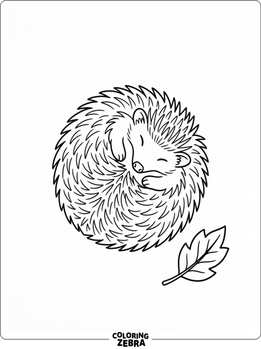 A minimal hedgehog curled into a ball