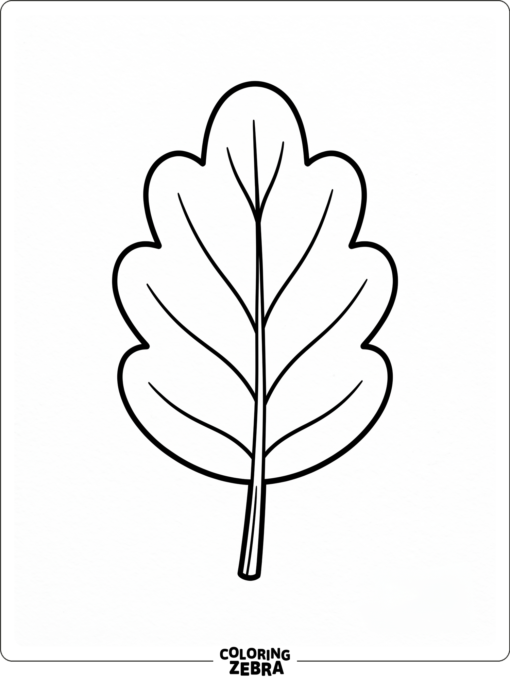 A clean leaf outline with rounded edges