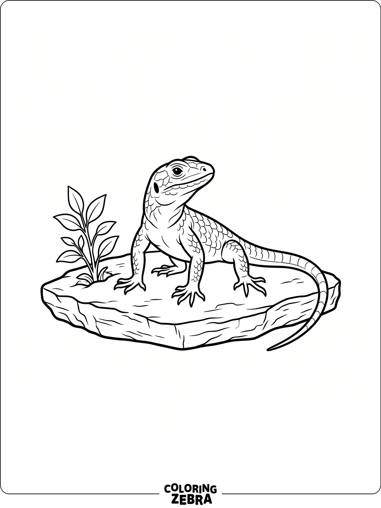 Lizard Pattern Coloring 44 Free Lizard Coloring Pages - Printable PDF Sheets