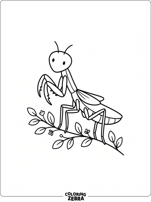 A simple mantis with rounded shapes