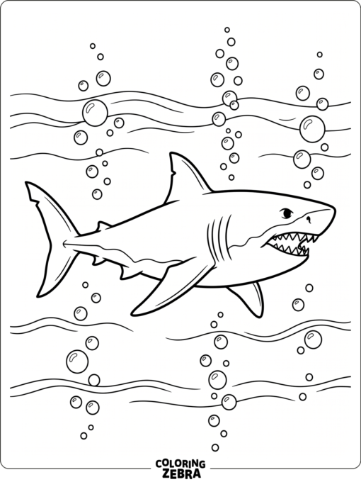 A simple megalodon floating in open water