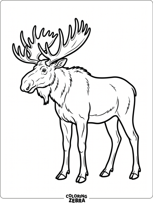A simple moose outline with bold clean lines