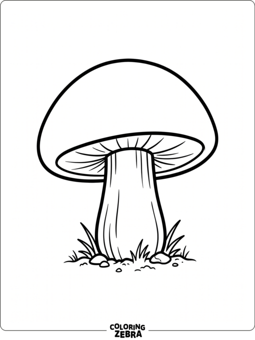 A single mushroom with a plain cap and short stem