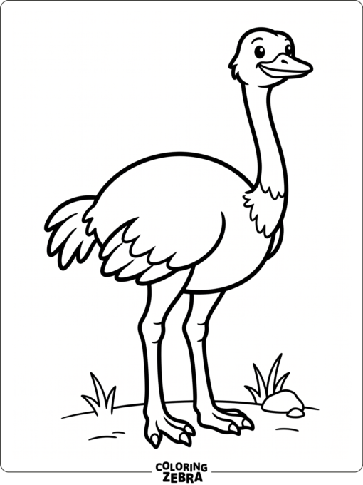 A plain ostrich with simple body lines and open space