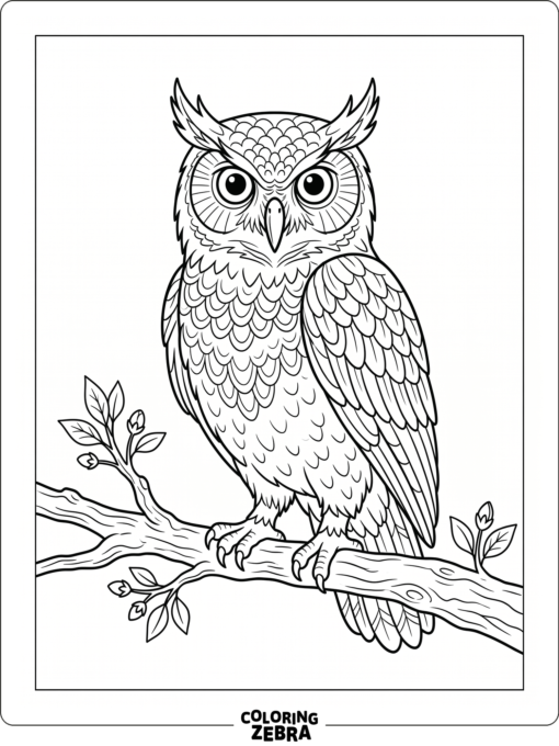 A simple owl standing on a branch