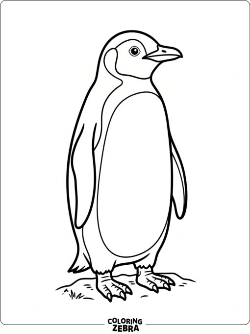 A simple penguin standing with wings tucked