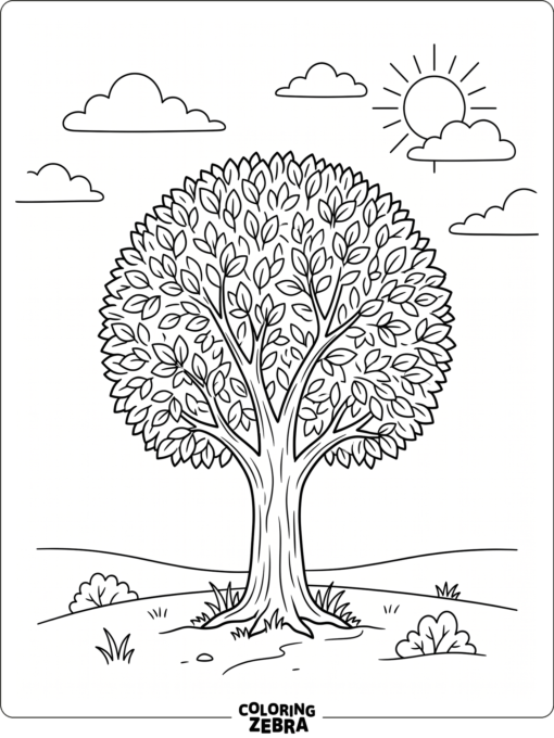 A single simple tree with a round crown and open sky