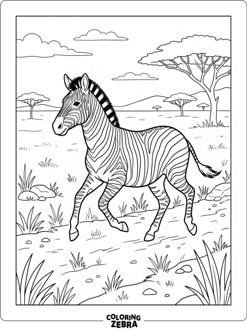 A zebra trotting across open plains