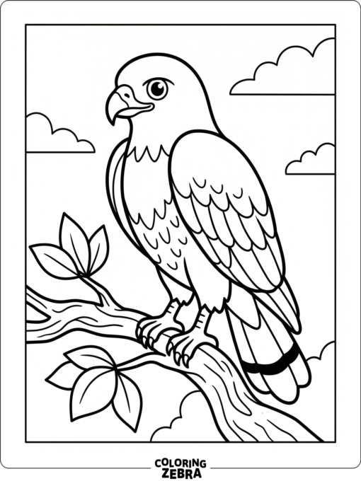 A red-tailed hawk perched on a branch