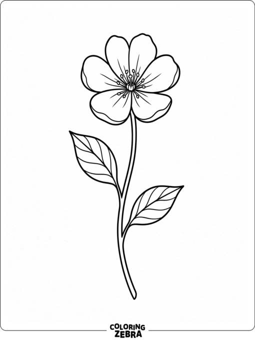 A single open flower with a long stem