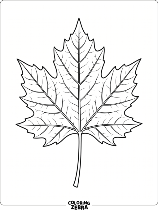 A single large leaf in the center of the page