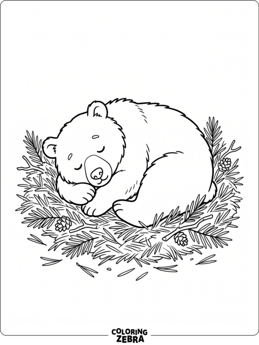 A sleeping bear curled up on pine needles