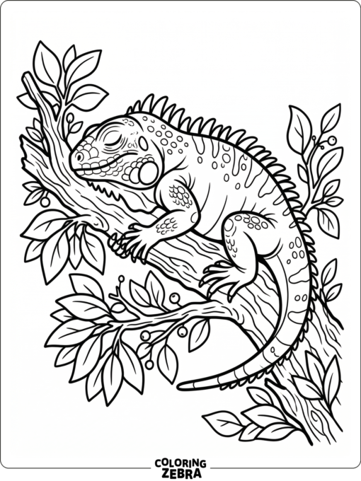 A sleeping iguana tucked on a branch with closed eyes