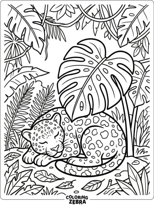 A sleeping jaguar curled beside a leaf