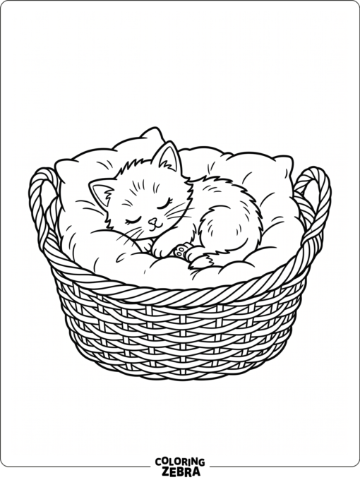 A sleeping kitten in a basket with a pillow