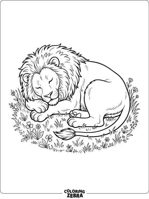 A sleeping lion curls up on grass
