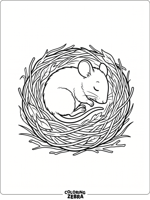 A sleeping mouse curled up in a tiny nest