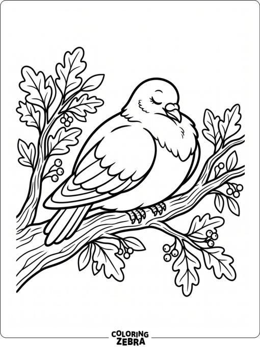 A sleeping pigeon resting on a branch