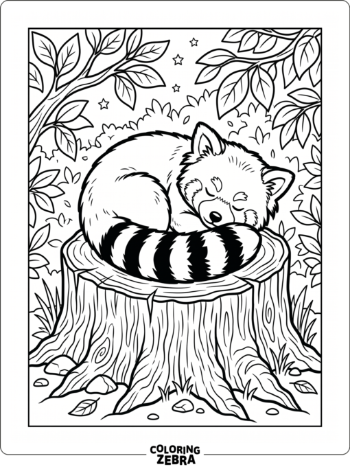 A sleeping red panda curled up on a tree stump