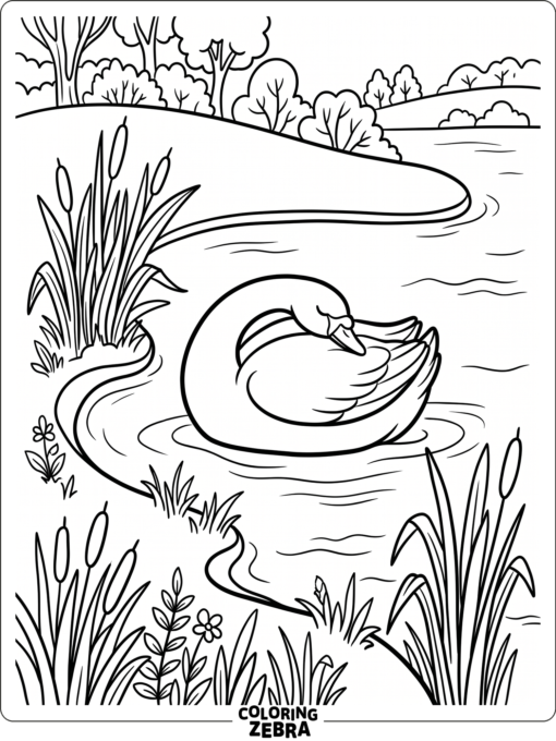 A sleeping swan resting near reeds on the shore