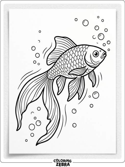 A comet goldfish with a forked tail