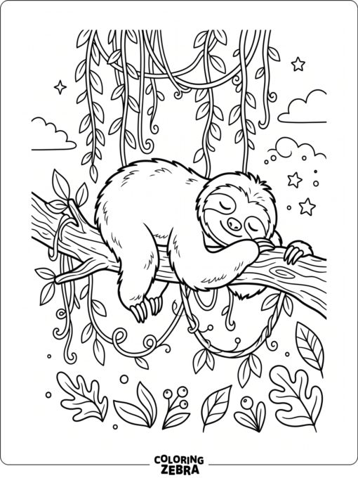 A sleepy sloth curled on a branch with vines