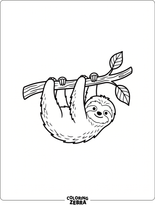 A simple sloth hanging from a branch