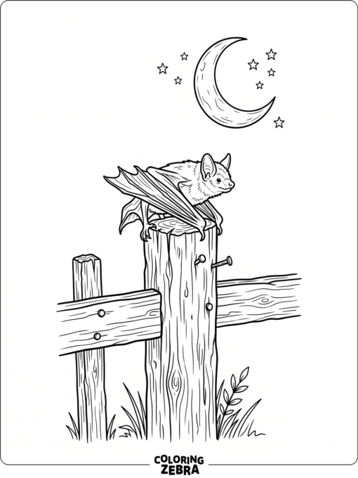 A small bat perched on a fence post at night