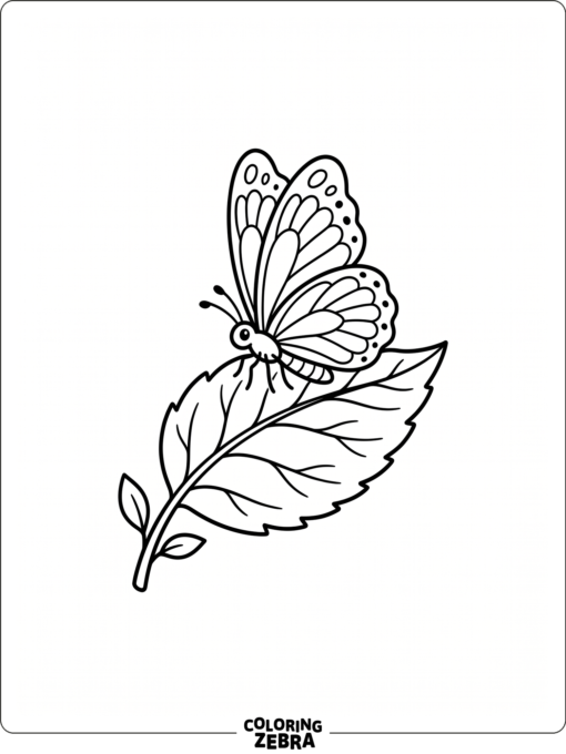 A small butterfly resting on a leaf