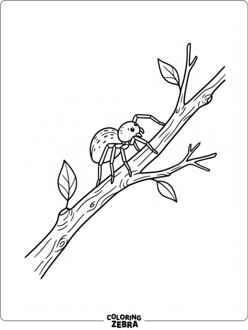 A small spider walking on a twig