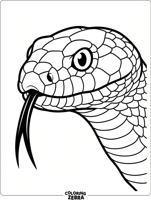 A snake head with forked tongue and sharp eyes