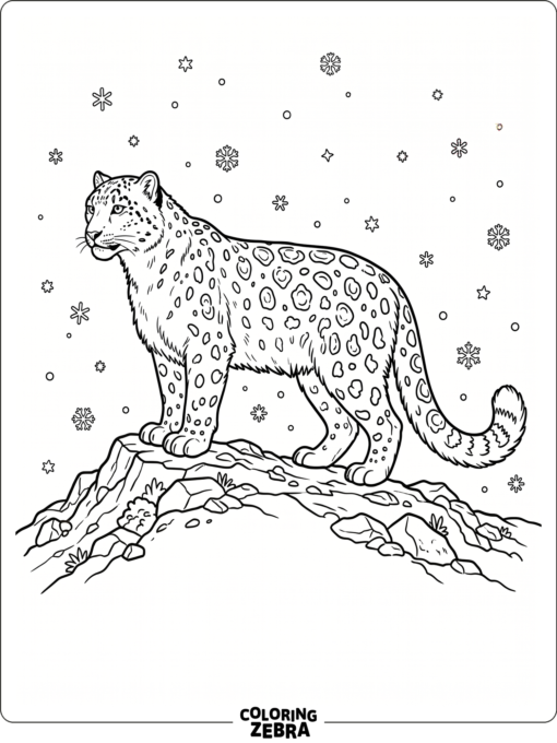 A snow leopard standing on a snowy ridge