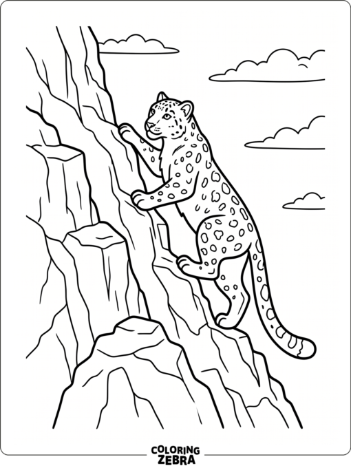 A snow leopard climbing a cliff with open sky