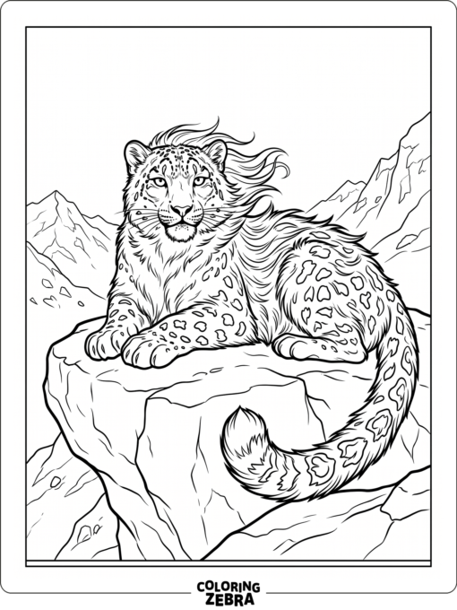 A snow leopard lying on a rock