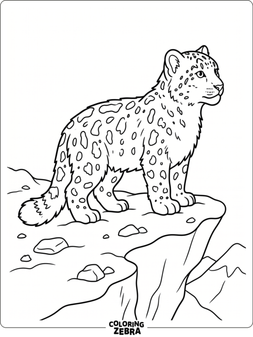 A snow leopard cub standing on a snowy ledge