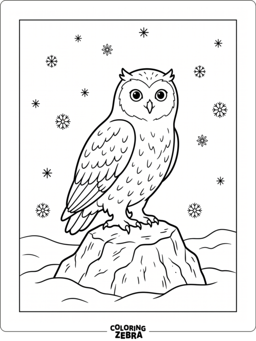A snowy owl standing on a rock