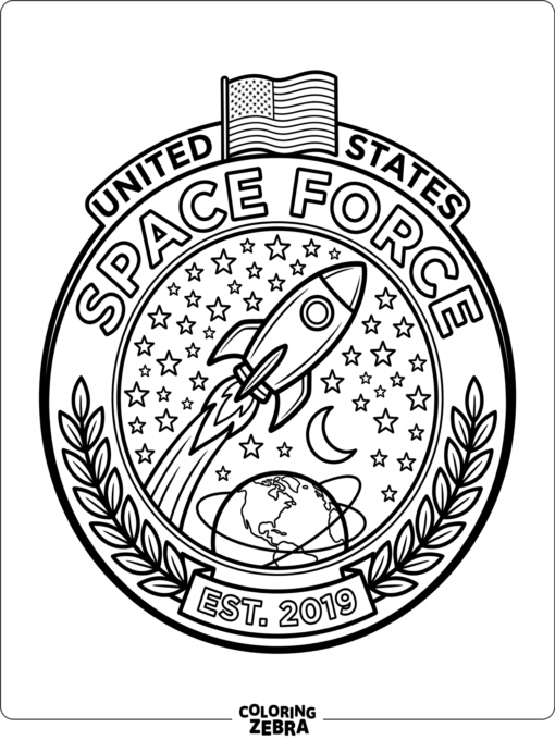 A Space Force emblem with stars, a rocket, and flag