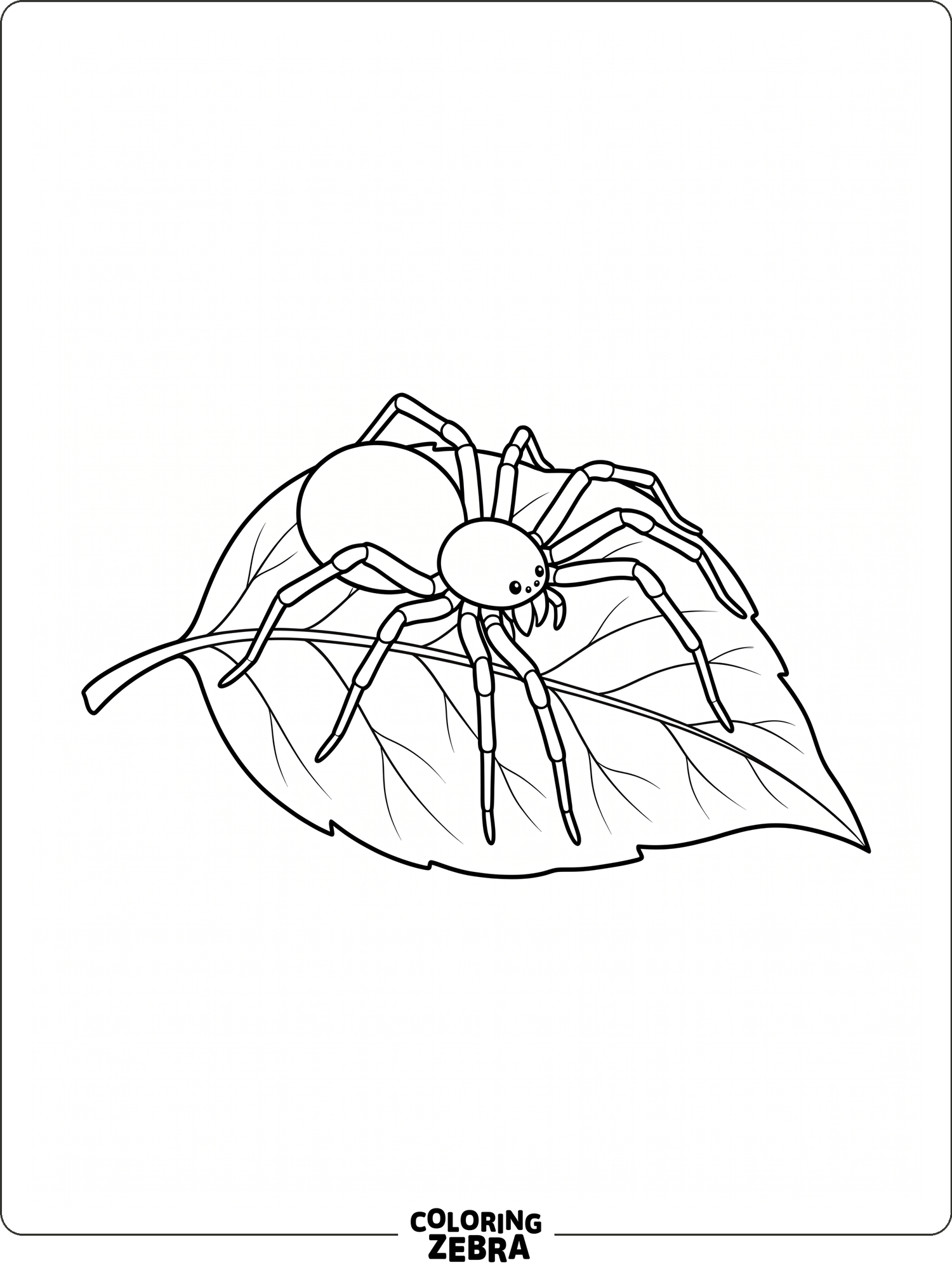 A simple spider with eight legs resting on a leaf