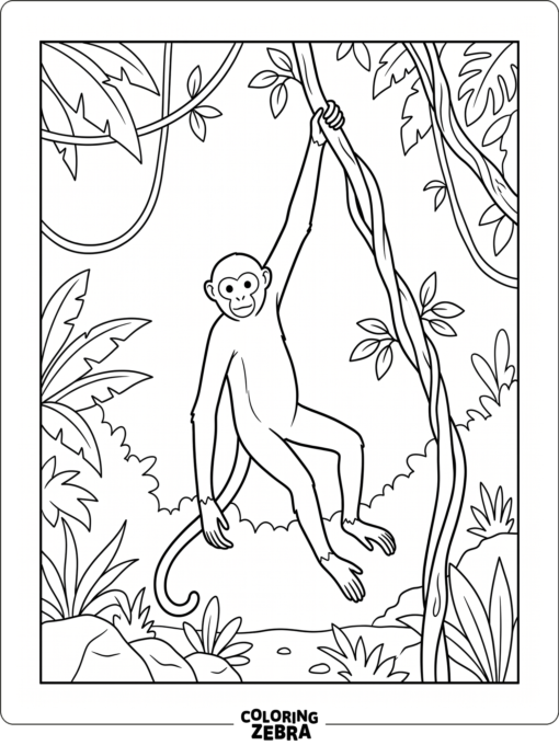 A spider monkey hanging from a vine in the jungle