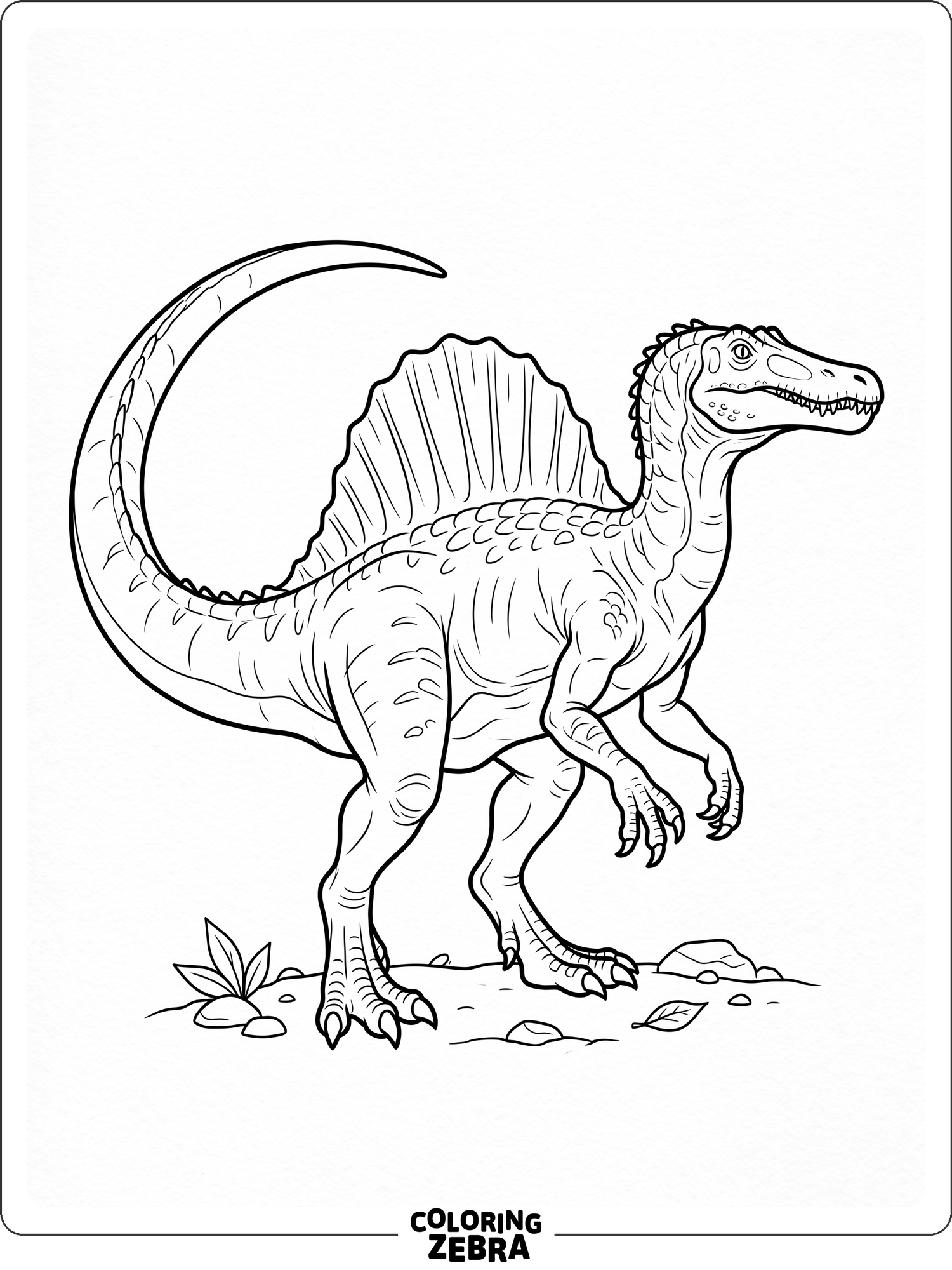 A side view spinosaurus with a curved tail