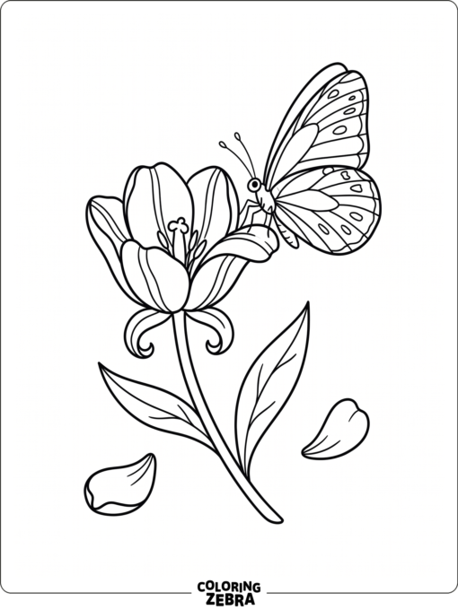 A spring butterfly resting on a tulip