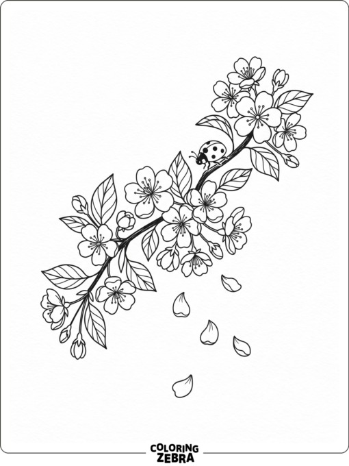 A ladybug near spring blossoms and petals