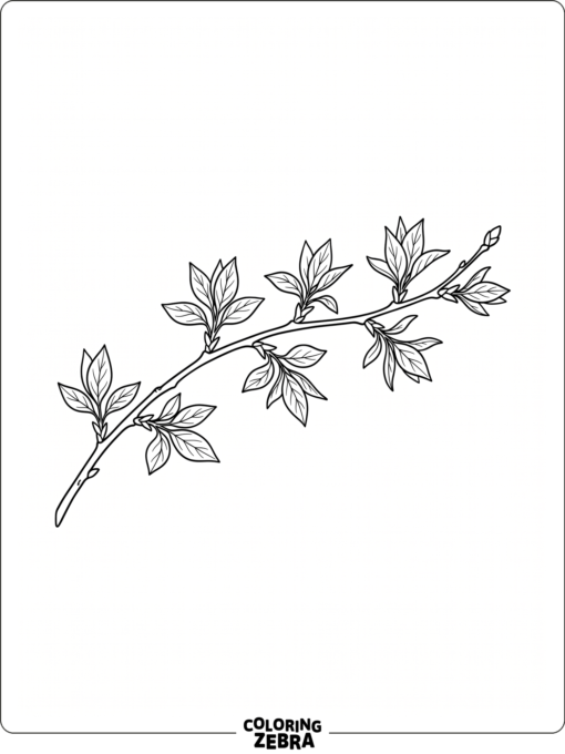 Fresh spring leaves growing on a small branch