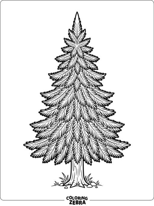 A spruce tree with dense layered branches