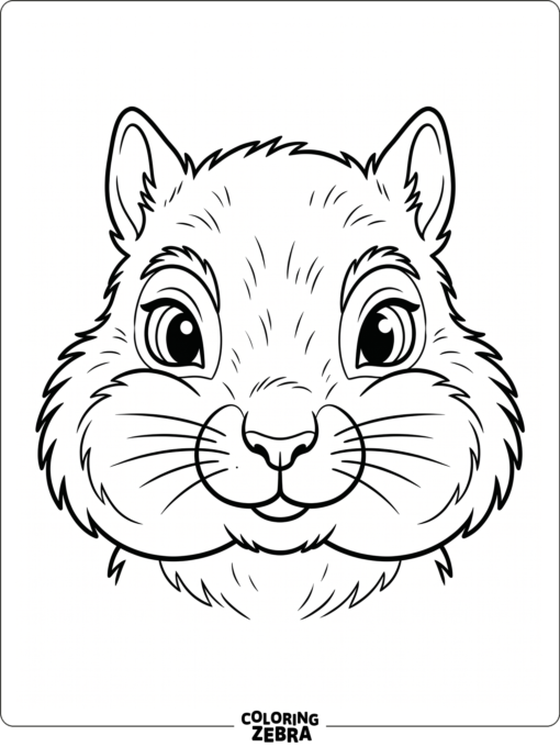 A squirrel face with big eyes and whiskers