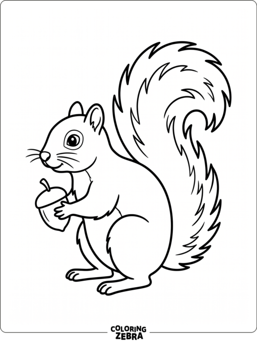 A simple squirrel outline with a bushy tail