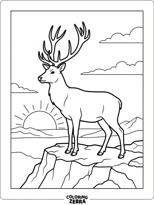 A stag standing on a rocky ridge at dawn